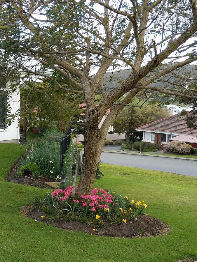 C'Est La Vie Bed & Breakfast Albany Exterior foto
